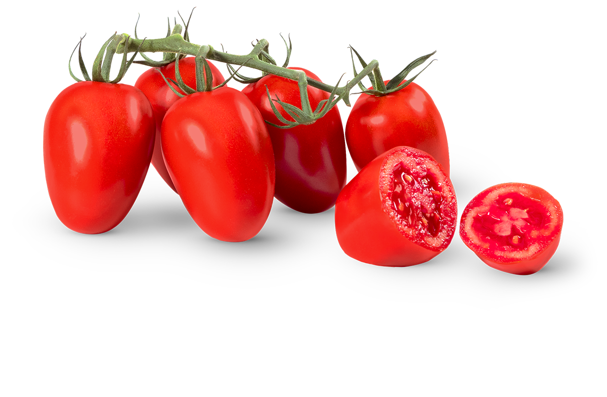 Rocco Reds™ Tomatoes