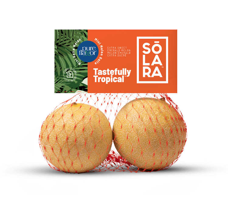 Solara™ Mini Melons